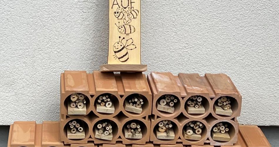 Wildbienen_1